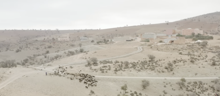 Capture d’écran 2026-02-08 à 00.53.30