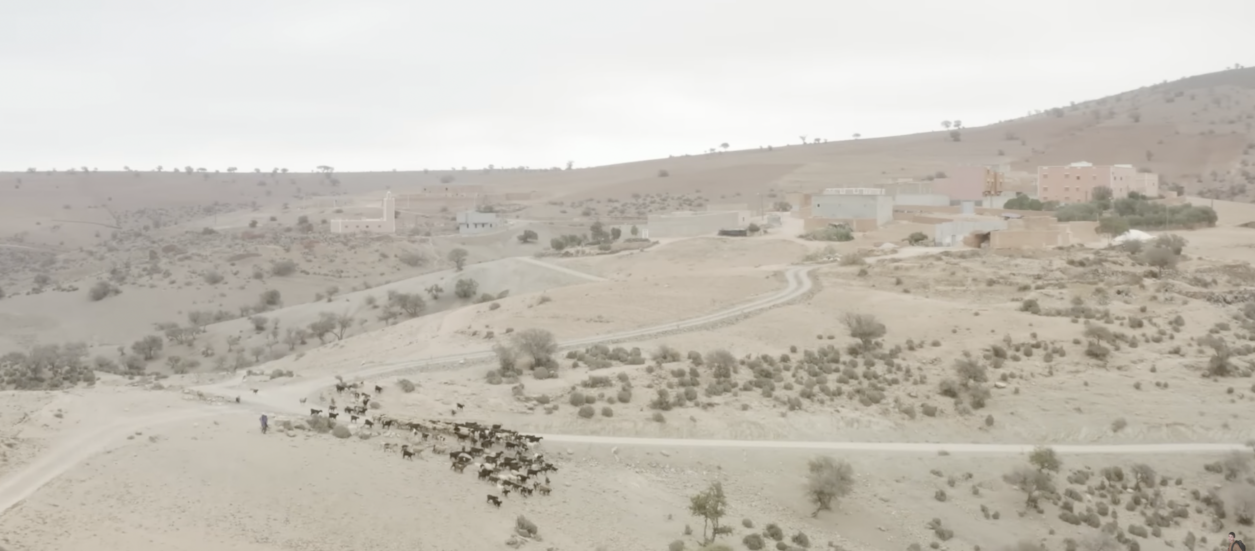 Capture d’écran 2026-02-08 à 00.53.30