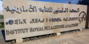 015482641_400-600x300-c