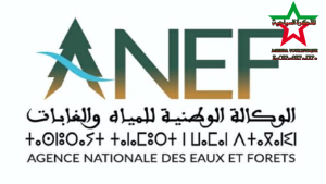 TemplateAgenda-165-5