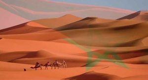 sahara_maroc_954881785