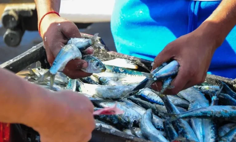 SEI_91341531-1024x680-780x470-1