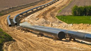 1a21bacad3bb42c3f90e7e96dd6c05bd20250304111216