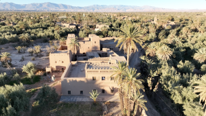 Capture d’écran 2025-05-05 à 14.42.59