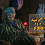 Capture d’écran 2026-02-08 à 00.32.15