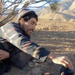 Capture d’écran 2026-02-08 à 00.42.32