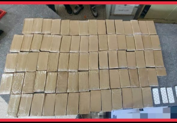 WhatsApp Image 2026-02-04 at 23.02.41