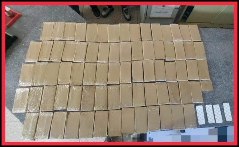 WhatsApp Image 2026-02-04 at 23.02.41