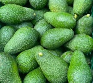 culture-de-lavocat-agrimaroc-660x330