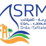 srm-dt-e1769775565565-780x451