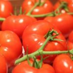 tomates-classement-mondial-17-660x330