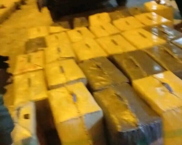 1772462704258-587x470