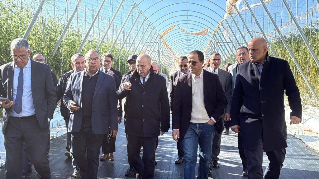 FB_IMG_1772646919548