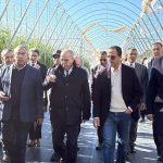 FB_IMG_1772646919548