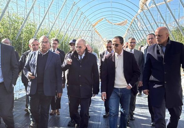 FB_IMG_1772646919548