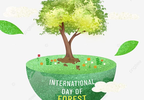 IMG-20260322-WA0011-640x470