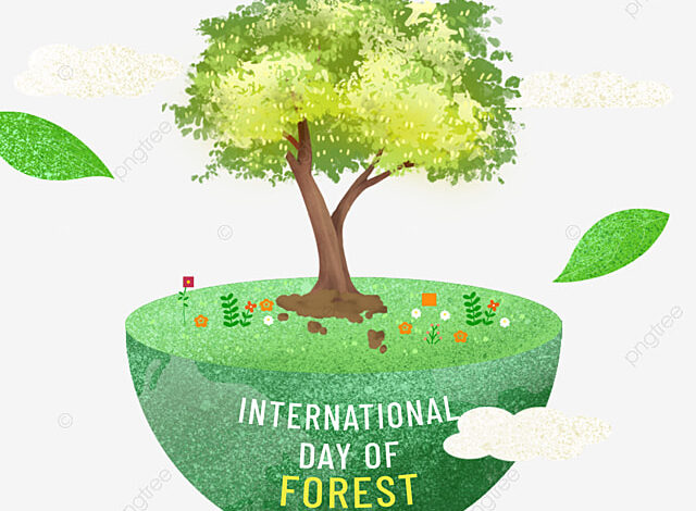 IMG-20260322-WA0011-640x470