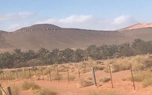 الحدود-بين-المغرب-والجزائر