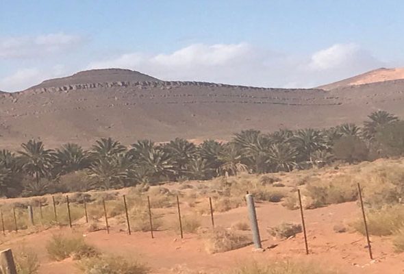 الحدود-بين-المغرب-والجزائر