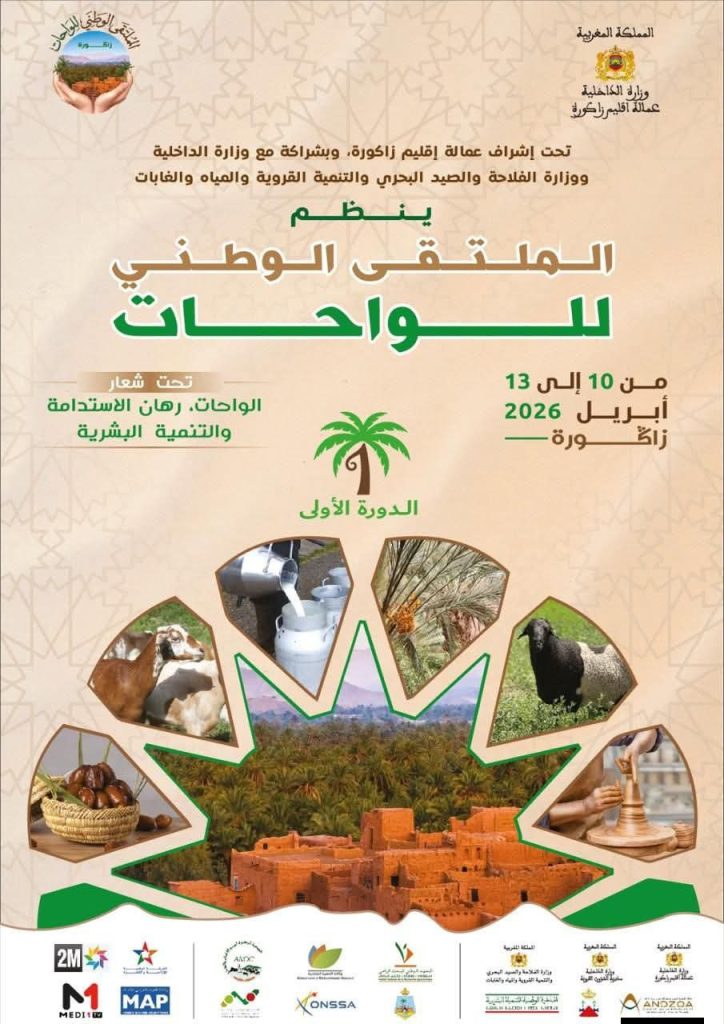 647449852_1252998330373048_7820555008643684199_n